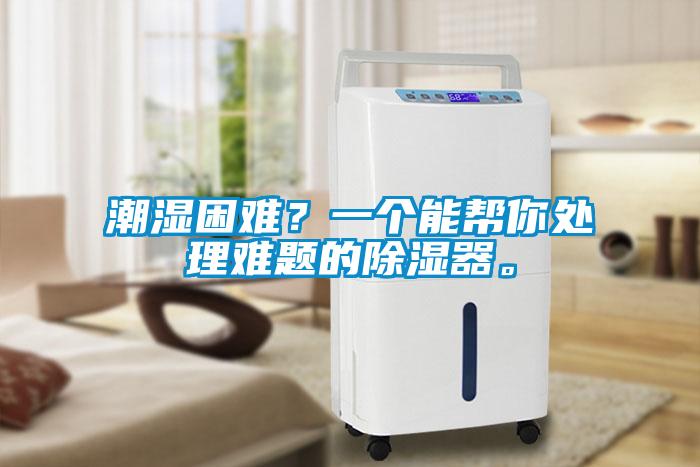 潮湿困难？一个能帮你处理难题的除湿器。