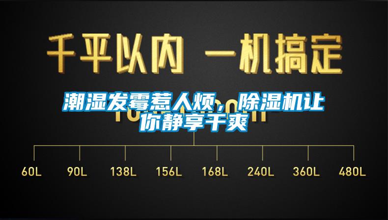 潮湿发霉惹人烦，除湿机让你静享干爽