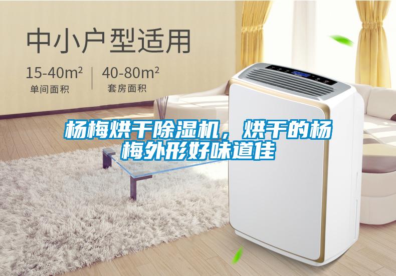 杨梅烘干除湿机，烘干的杨梅外形好味道佳
