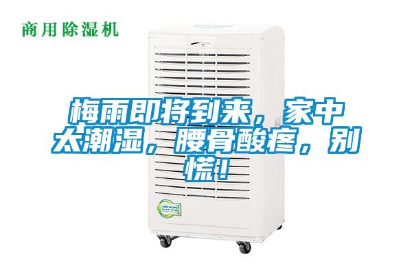 梅雨即将到来，家中太潮湿，腰骨酸疼，别慌！