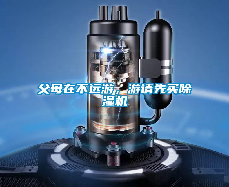 父母在不远游，游请先买除湿机