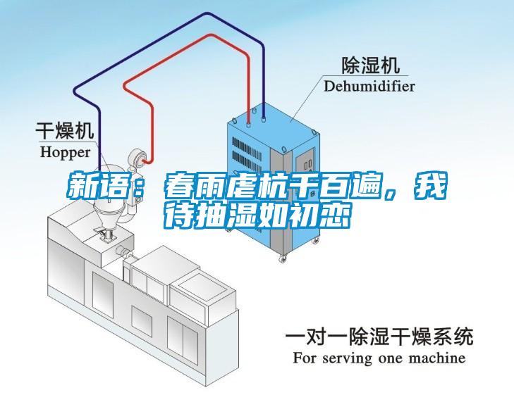 新语：春雨虐杭千百遍，我待抽湿如初恋