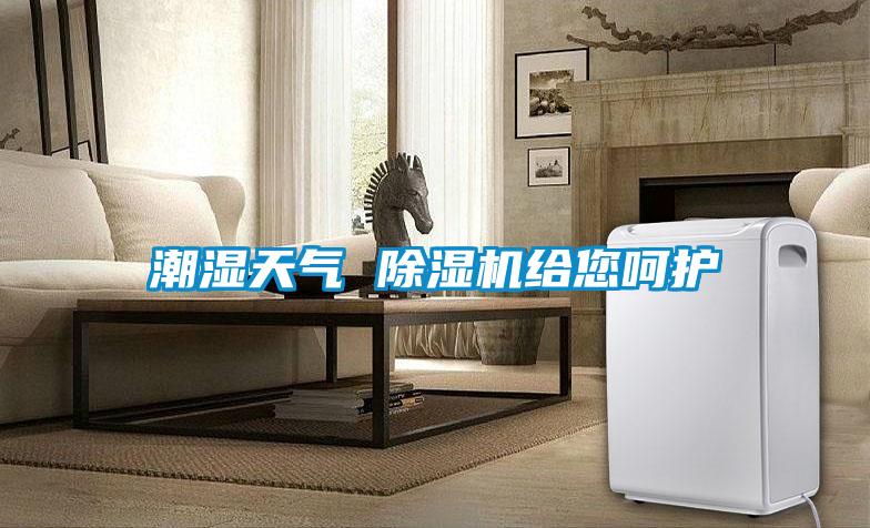 潮湿天气 除湿机给您呵护