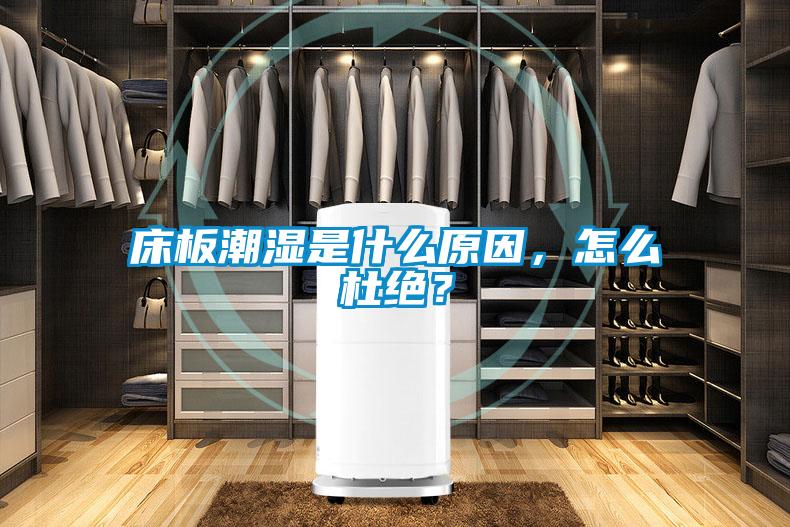 床板潮湿是什么原因，怎么杜绝？