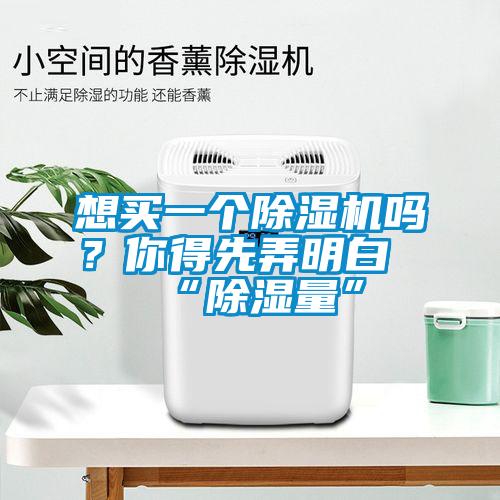 想买一个除湿机吗？你得先弄明白“除湿量”