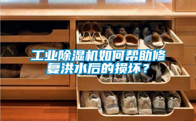 工业除湿机如何帮助修复洪水后的损坏？