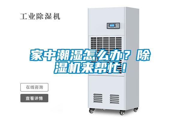 家中潮湿怎么办？除湿机来帮忙！