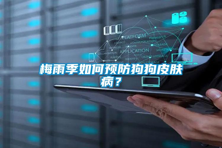 梅雨季如何预防狗狗皮肤??？