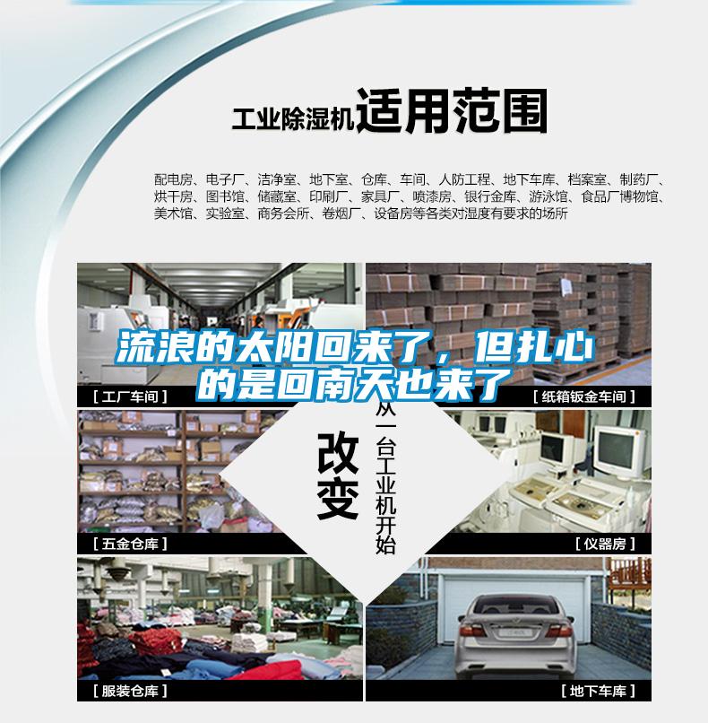 流浪的太阳回来了，但扎心的是回南天也来了