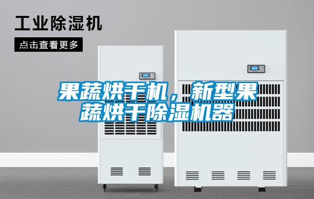 果蔬烘干机，新型果蔬烘干除湿机器