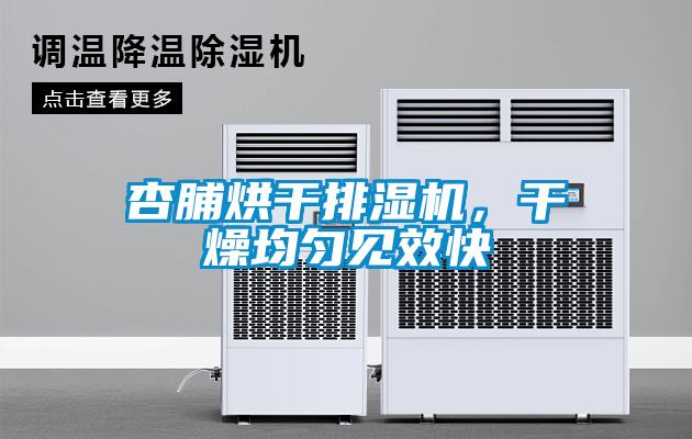 杏脯烘干排湿机，干燥均匀见效快