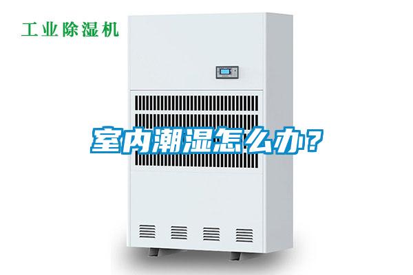 室内潮湿怎么办？