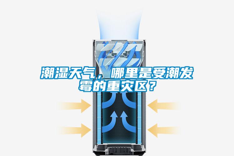 潮湿天气，哪里是受潮发霉的重灾区？