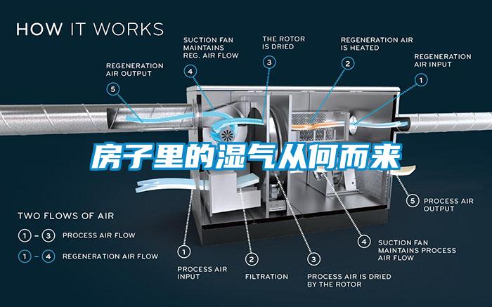 房子里的湿气从何而来