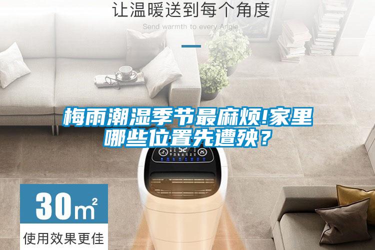 梅雨潮湿季节最麻烦!家里哪些位置先遭殃？