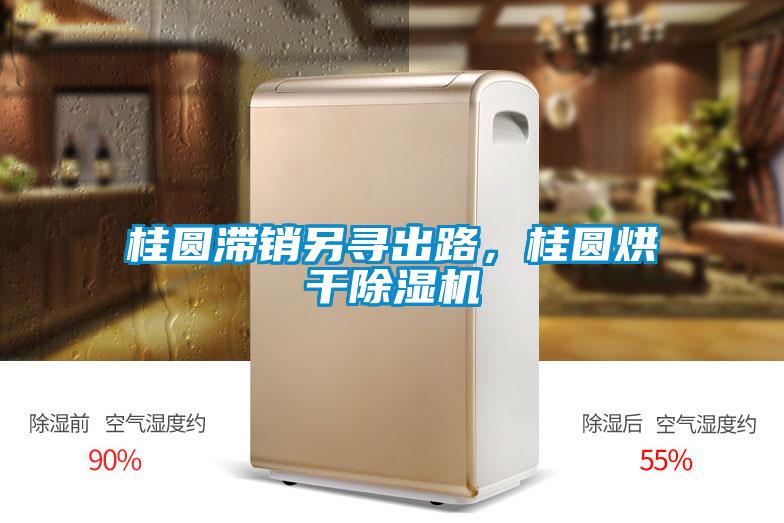 桂圆滞销另寻出路，桂圆烘干除湿机