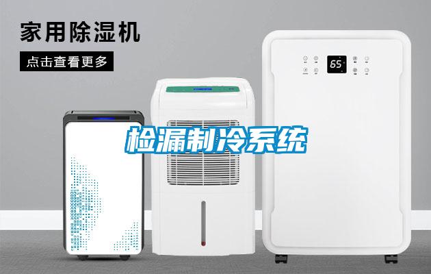检漏制冷系统
