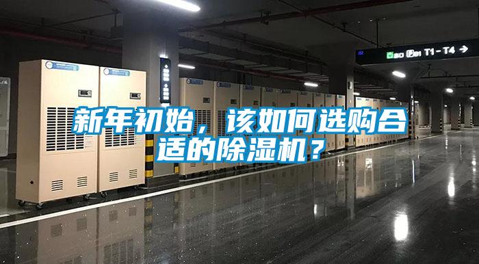 新年初始，该如何选购合适的除湿机？