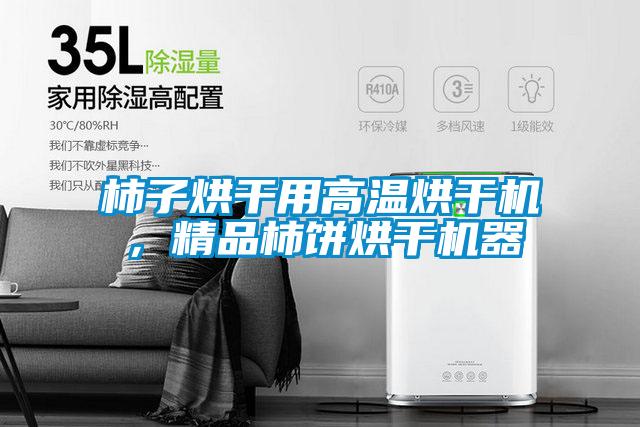 柿子烘干用高温烘干机，精品柿饼烘干机器