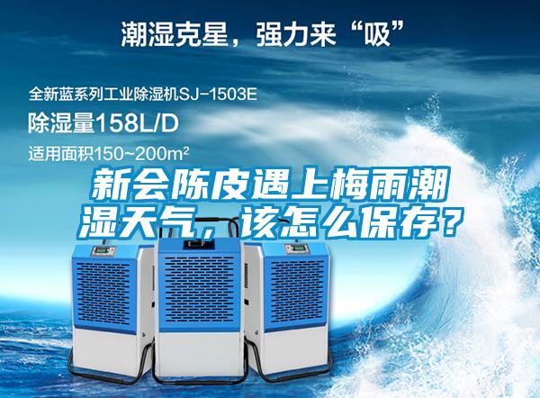 新会陈皮遇上梅雨潮湿天气，该怎么保存？
