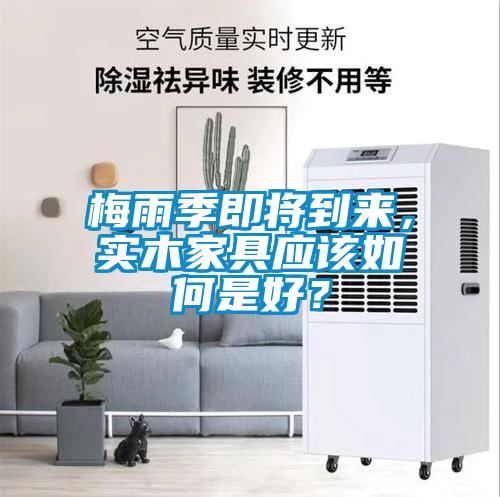 梅雨季即将到来，实木家具应该如何是好？