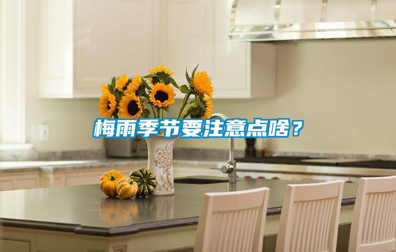 梅雨季节要注意点啥？