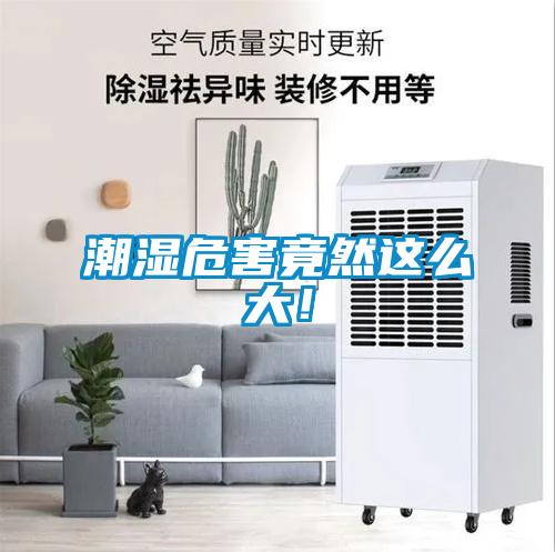 潮湿危害竟然这么大！