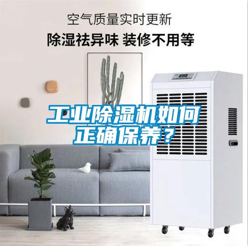 工业除湿机如何正确保养？