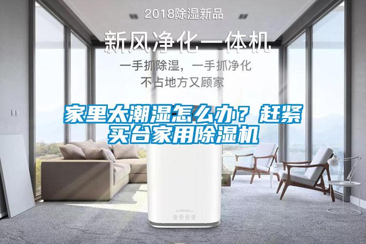 家里太潮湿怎么办？赶紧买台家用除湿机