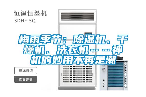 梅雨季节：除湿机、干燥机、洗衣机……神机的妙用不再是潮