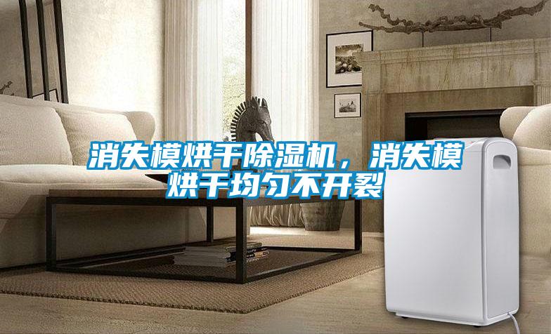 消失模烘干除湿机，消失模烘干均匀不开裂