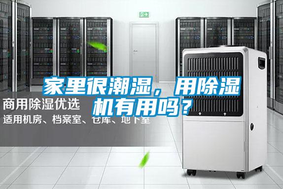 家里很潮湿，用除湿机有用吗？