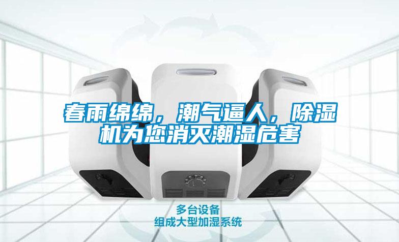 春雨绵绵，潮气逼人，除湿机为您消灭潮湿危害