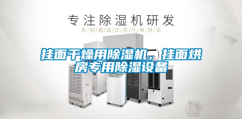 挂面干燥用除湿机，挂面烘房专用除湿设备