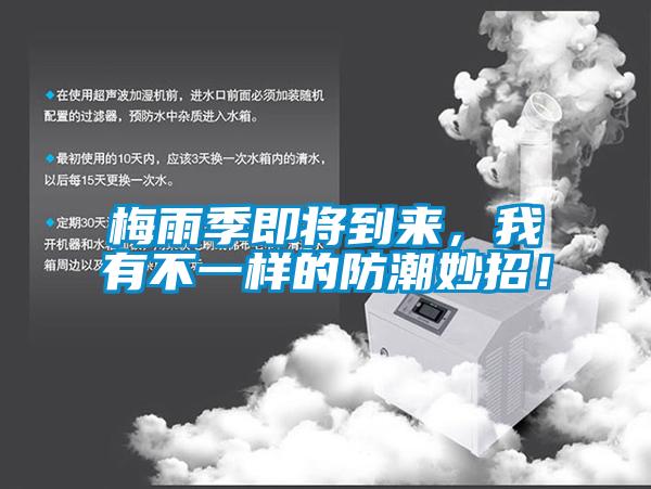 梅雨季即將到來，我有不一樣的防潮妙招！