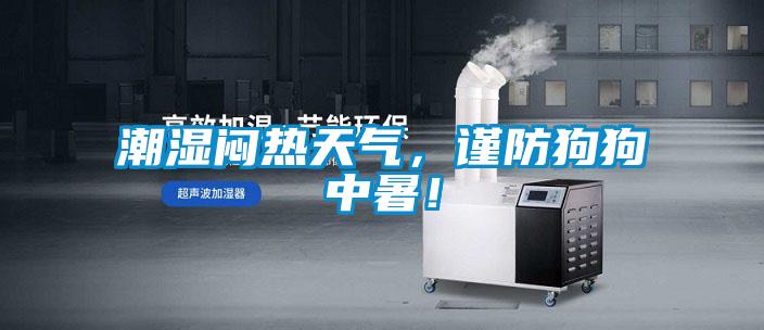 潮濕悶熱天氣，謹防狗狗中暑！