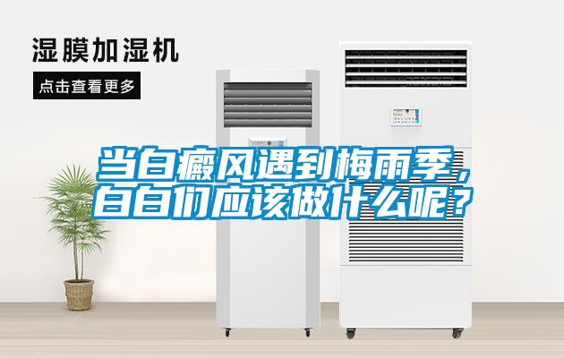 当白癜风遇到梅雨季，白白们应该做什么呢？