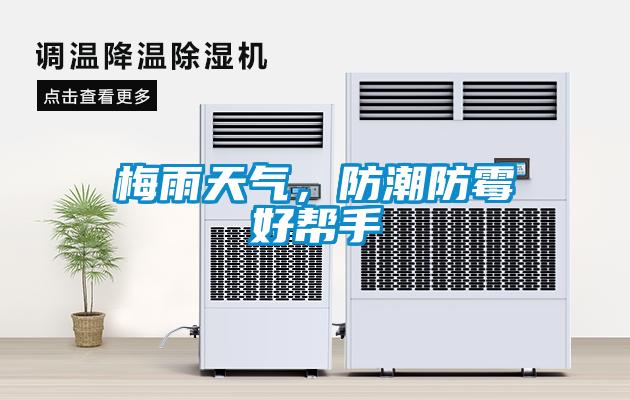 梅雨天气，防潮防霉好帮手