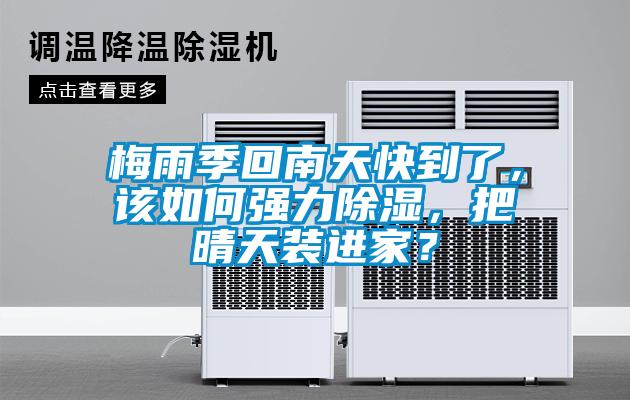 梅雨季回南天快到了，该如何强力除湿，把晴天装进家？