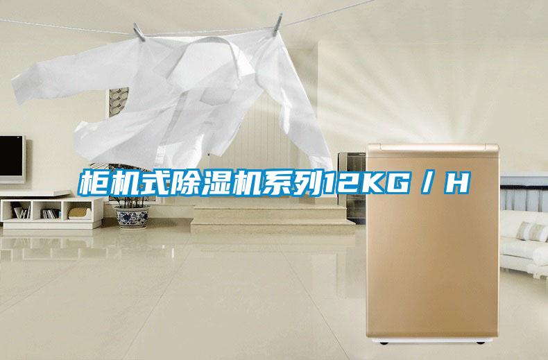 柜机式除湿机系列12KG／H