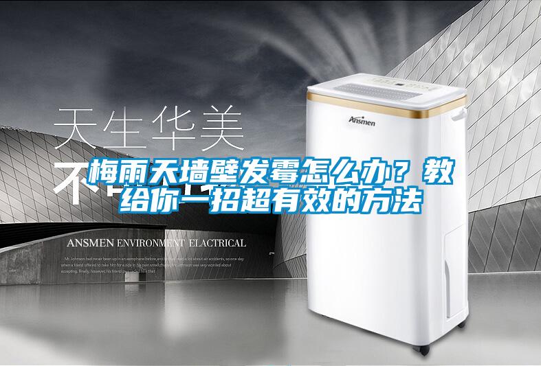 梅雨天墙壁发霉怎么办？教给你一招超有效的方法