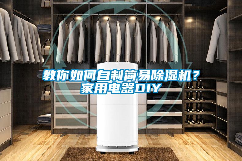教你如何自制简易除湿机？家用电器DIY