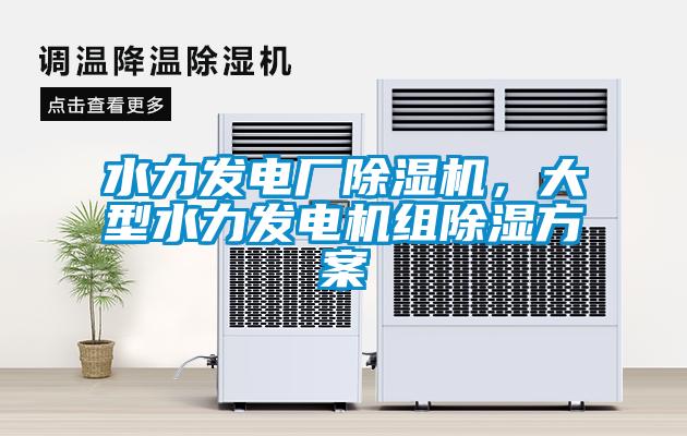 水力发电厂除湿机，大型水力发电机组除湿方案