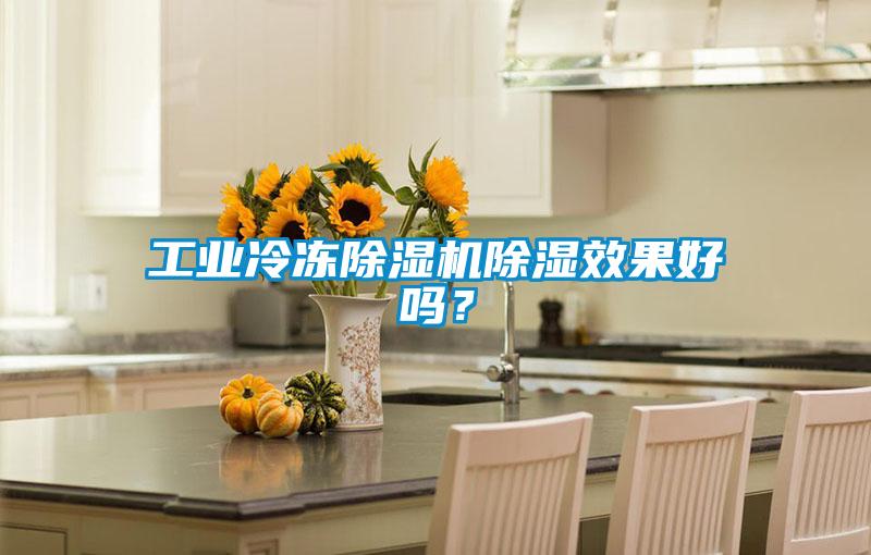 工业冷冻除湿机除湿效果好吗？