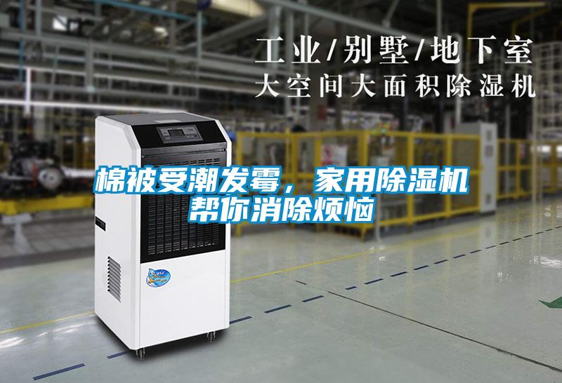棉被受潮发霉，家用除湿机帮你消除烦恼