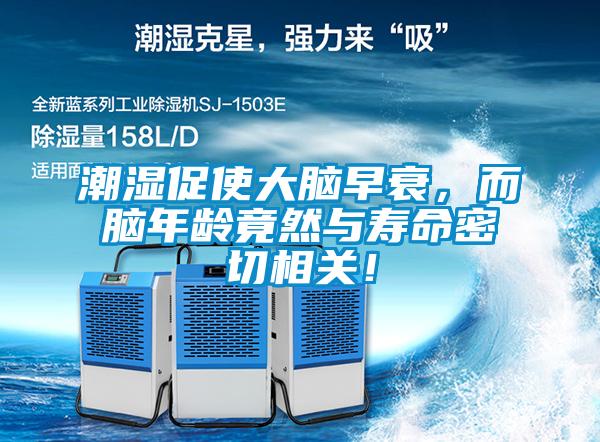 潮湿促使大脑早衰，而脑年龄竟然与寿命密切相关！