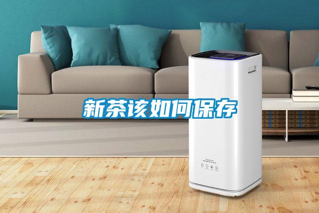 新茶该如何保存