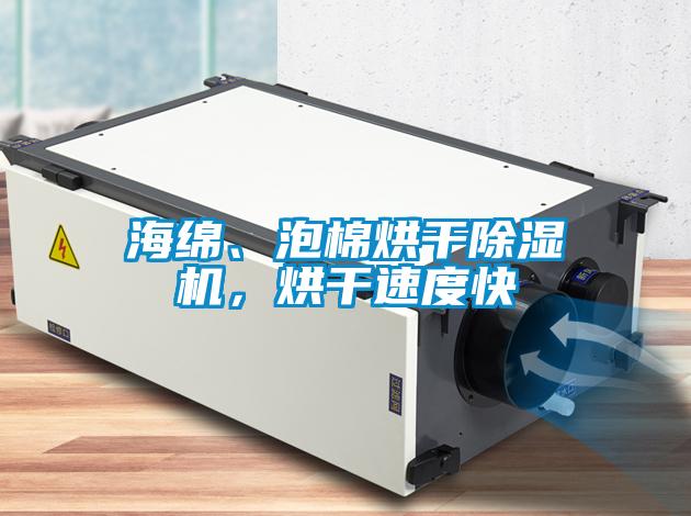 海綿、泡棉烘干除濕機(jī)，烘干速度快