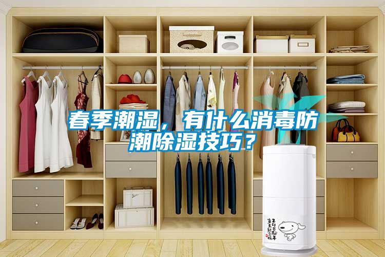 春季潮湿，有什么消毒防潮除湿技巧？