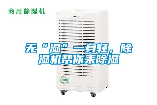 无“湿”一身轻，除湿机帮你来除湿